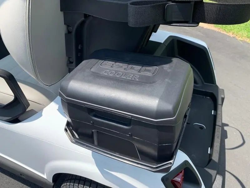 2020 E-Z-GO Fleet RXV ELiTE Golf Cart For Sale - Image 7