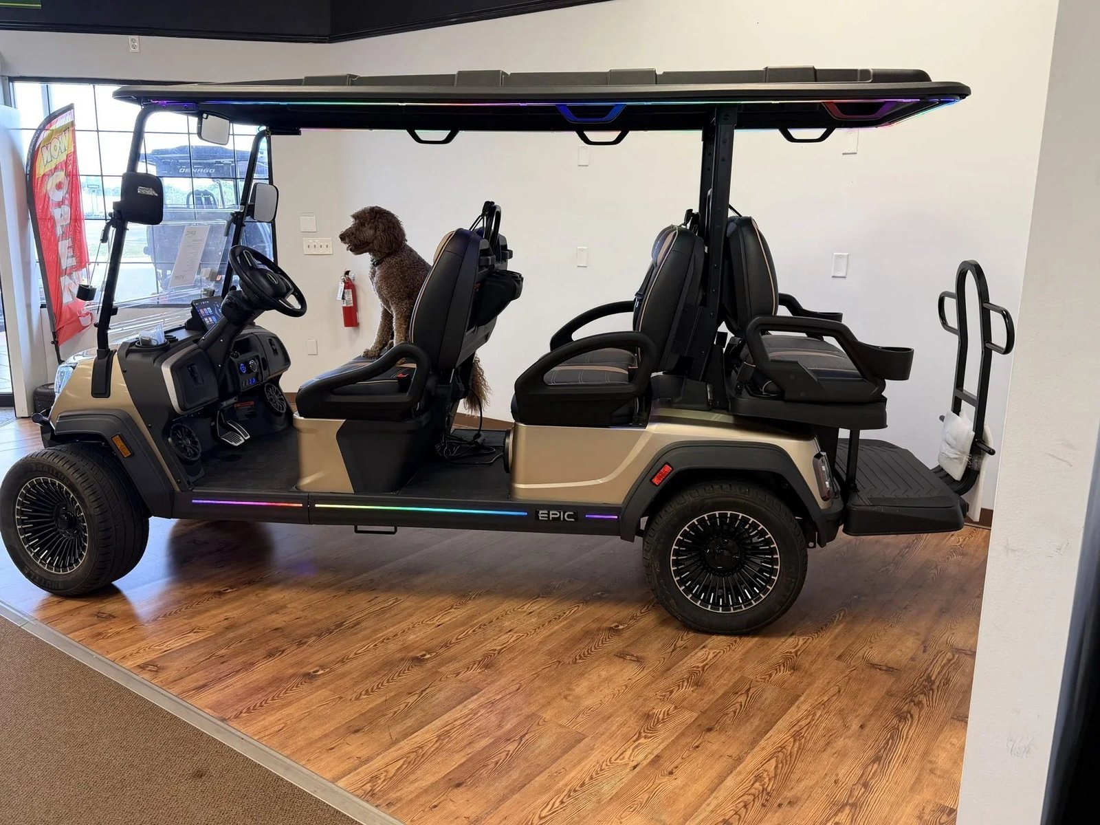 2026 Epic E60FX Champagne Golf Cart for Sale - Image 4