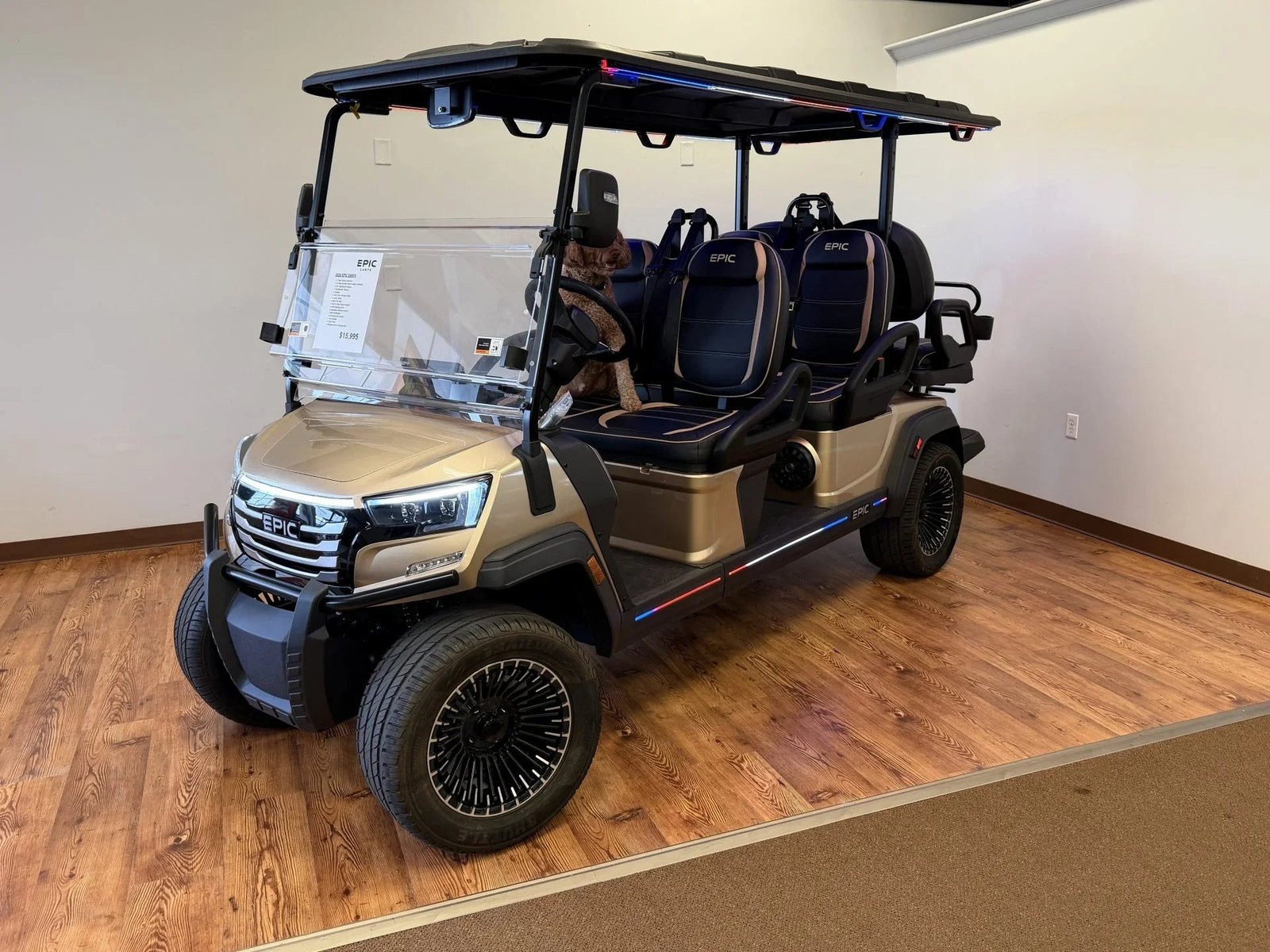 2026 Epic E60FX Champagne Golf Cart for Sale