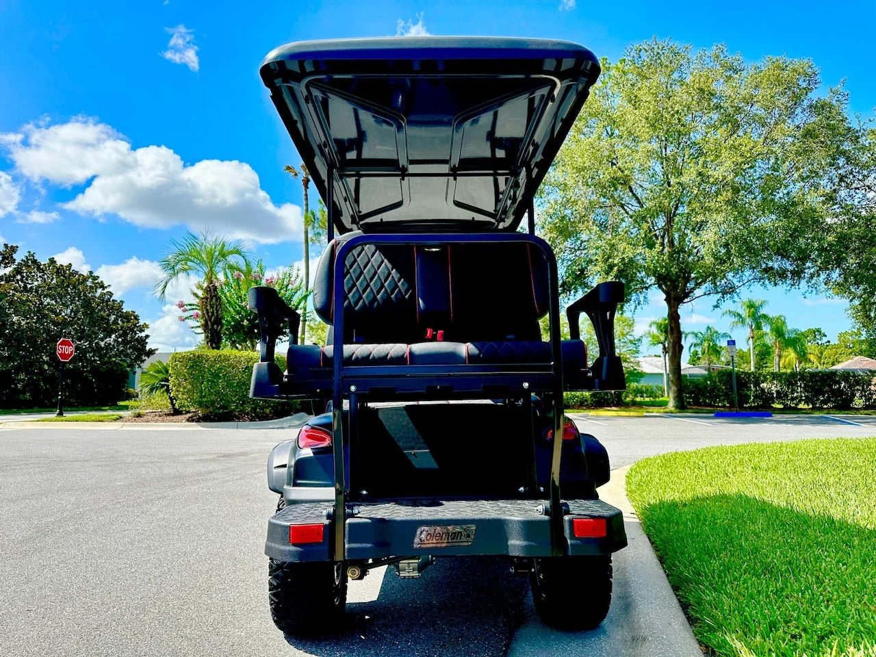 2024 Coleman Kandi 2+2 Golf Cart for Sale - Image 4