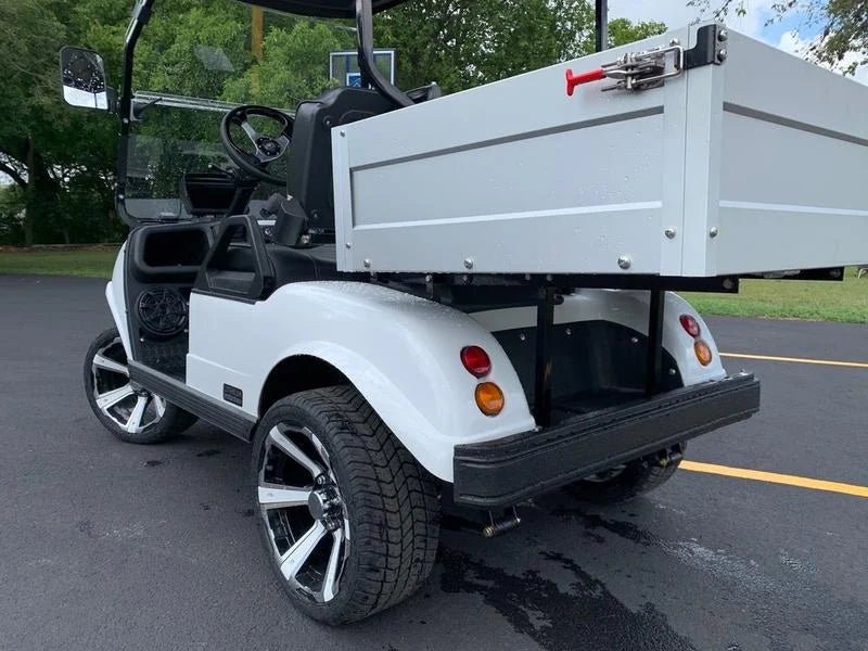 2024 EVolution Turfman 200 Plus Golf Cart for Sale - Image 7