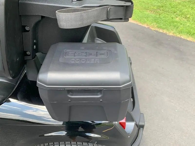 2020 E-Z-GO Fleet RXV ELiTE Golf Cart For Sale - Image 3