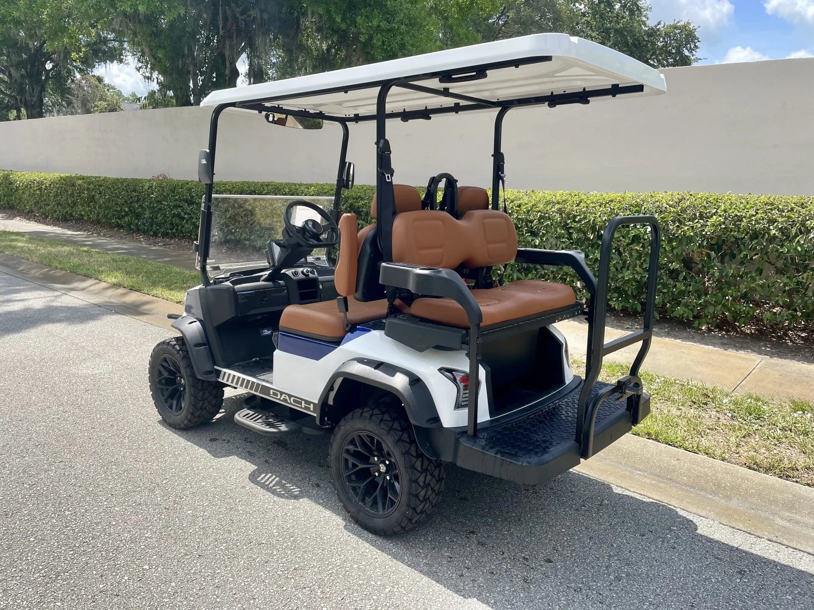 2025 Falcon Dach Golf Cart for Sale - Image 2
