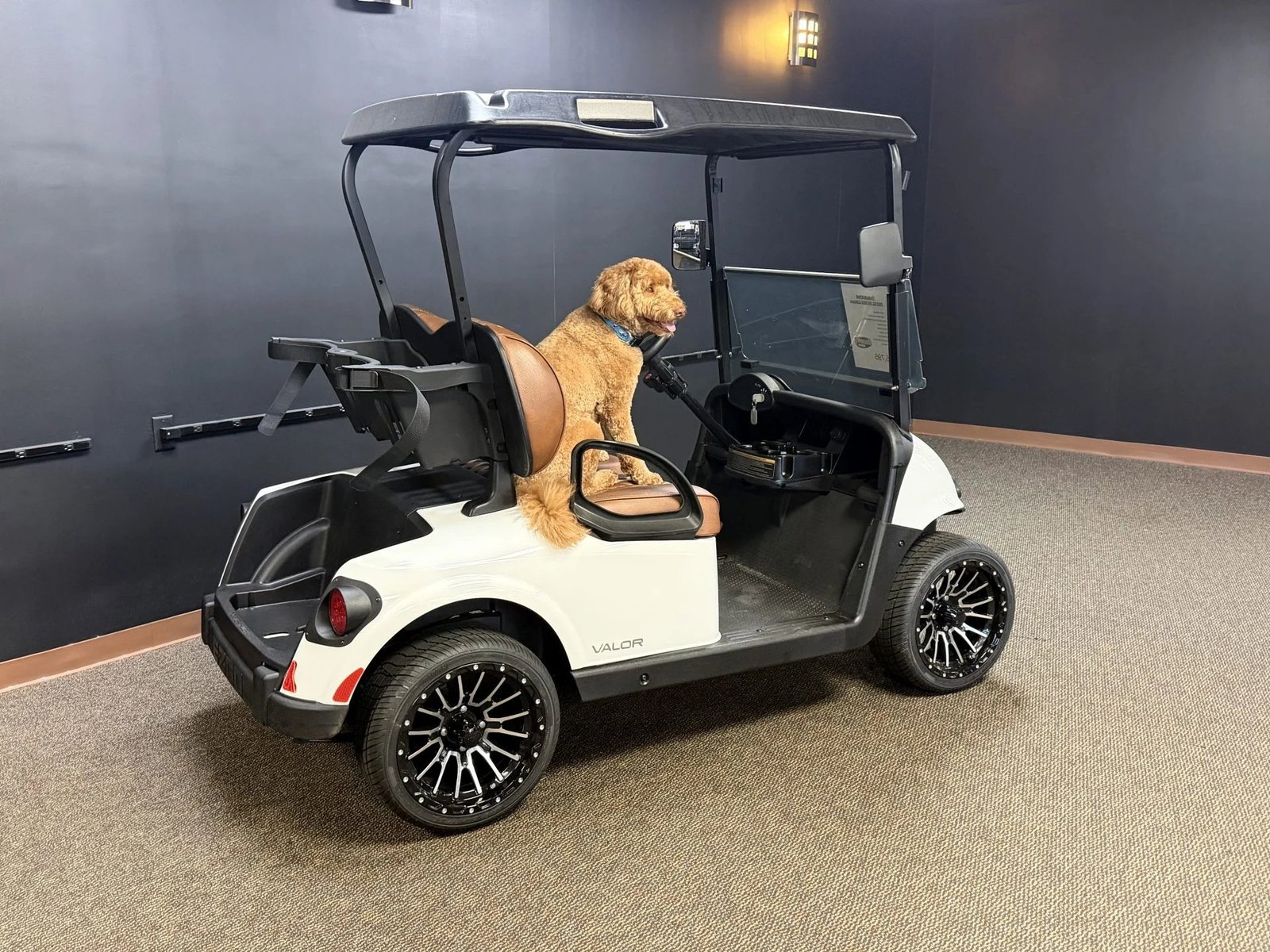 2020 E-Z-GO RXV Elite Lithium Golf Cart for Sale (White) - Image 2
