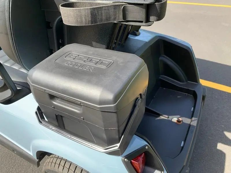 2020 E-Z-GO Fleet RXV ELiTE Golf Cart For Sale - Image 3