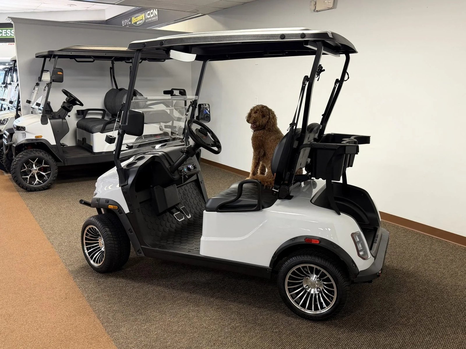 2026 Denago EV Scout 2 Passenger Golf Cart for Sale - Image 2